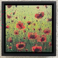 Image 3 of 'Poppy Meadow' framed canvas