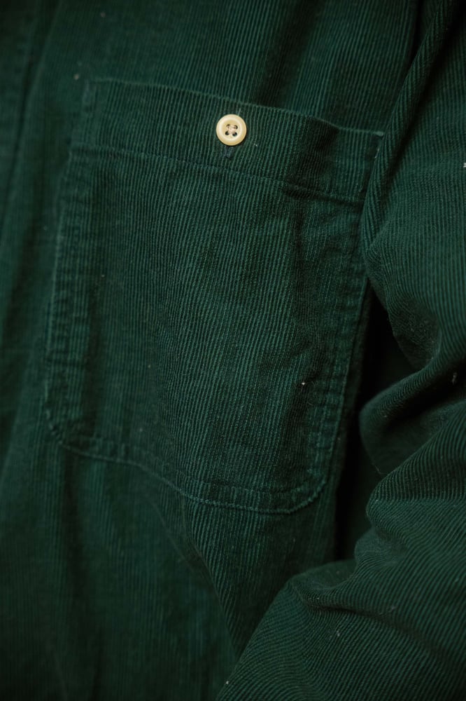 Image of Camicia velluto bosco