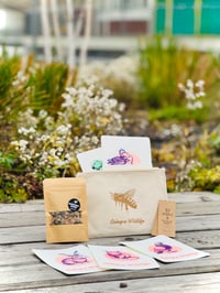 Image 2 of Cologne Wildlife | Etui + 9er Kartenset