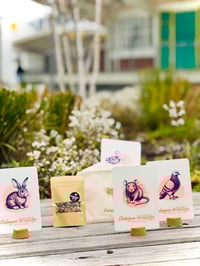 Image 3 of Cologne Wildlife | Etui + 9er Kartenset