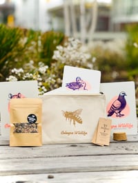 Image 4 of Cologne Wildlife | Etui + 9er Kartenset