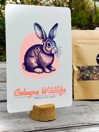 Image 5 of Cologne Wildlife | Etui + 9er Kartenset