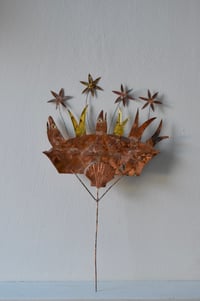 Image 2 of Stargazy pie 2