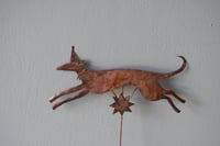 Image 2 of Circus dog