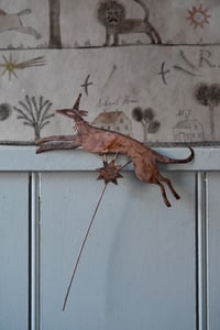 Image 3 of Circus dog