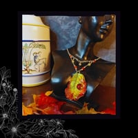 Image 5 of ☽ Malus Automnalis ☾