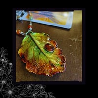 Image 6 of ☽ Malus Automnalis ☾