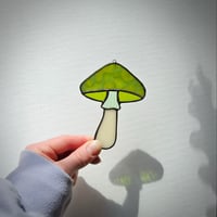 Image 2 of Mushroom - Fern Green