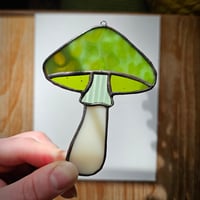 Image 1 of Mushroom - Fern Green