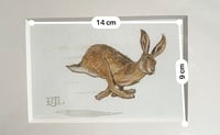 Image 2 of A Young Hare Galloping