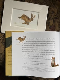 Image 4 of A Young Hare Galloping