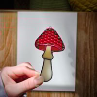 Image 1 of Mushroom - Ruby Red