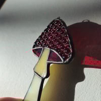 Image 4 of Mushroom - Ruby Red