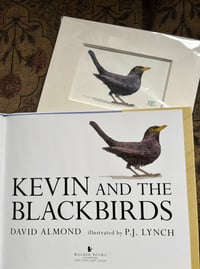 Image 3 of "A Fledgling Blackbird"