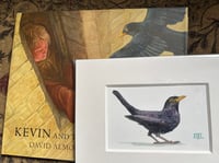 Image 4 of "A Fledgling Blackbird"