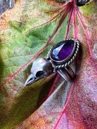 Image 3 of Raven Ring with Amethyst