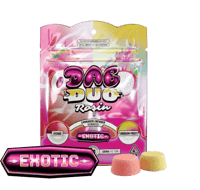 Image 1 of ABX - Dab Duos Rosin Gummies 100mg