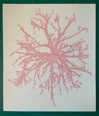 Image 1 of Radial Maple – penplot