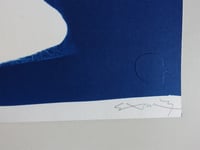 Image 5 of Stray Cat