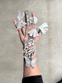 Image 2 of San Juan Feather