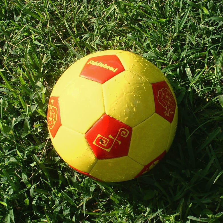Image of Soccer Ball