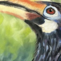 Image 4 of Original Pastel Painting: Hornbill Dreams