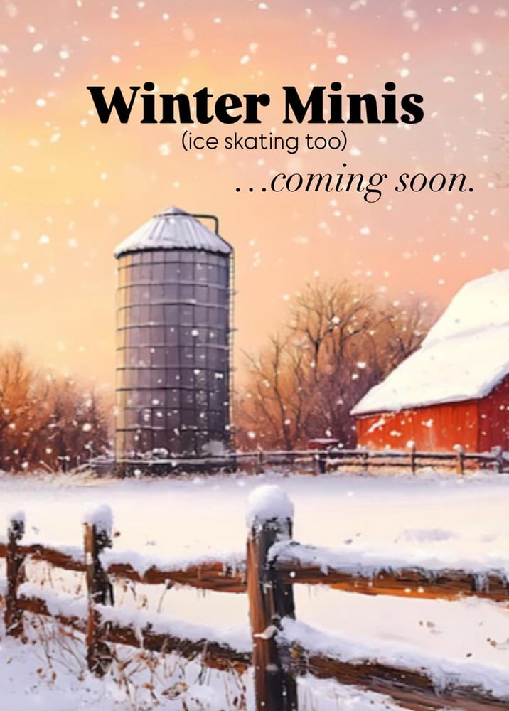 Image of WINTER MINIS (Skating too!)