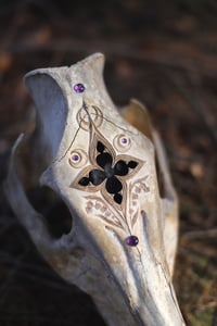 Image 5 of Teschio di Cinghiale🌙 -finestra gotica e ametista-