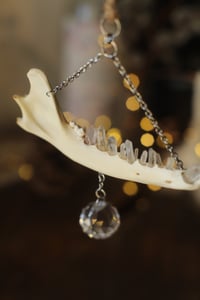 Image 3 of Suncatcher - Mandibola di volpe e punte di quarzo