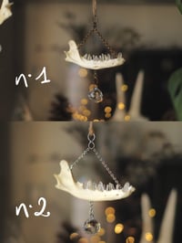 Image 2 of Suncatcher - Mandibola di volpe e punte di quarzo