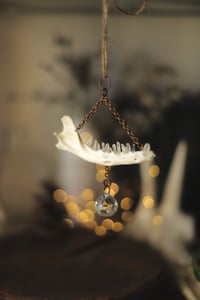 Image 4 of Suncatcher - Mandibola di volpe e punte di quarzo