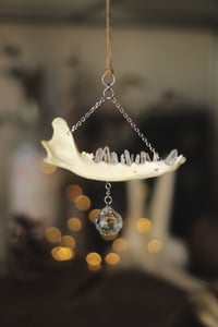 Image 1 of Suncatcher - Mandibola di volpe e punte di quarzo