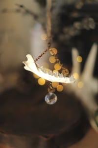 Image 5 of Suncatcher - Mandibola di volpe e punte di quarzo