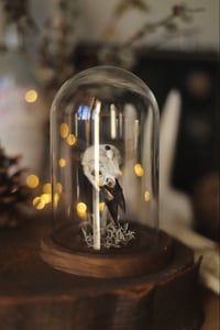 Image 1 of Campana con teschio di ghiandaia e ali di libellula