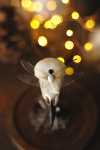 Image 5 of Campana con teschio di ghiandaia e ali di libellula