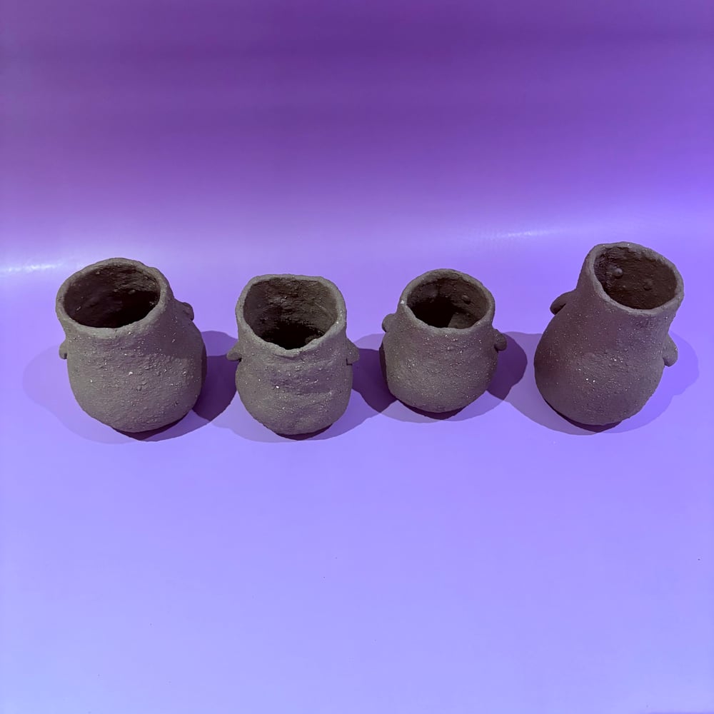 Image of Bosom Buddy pots