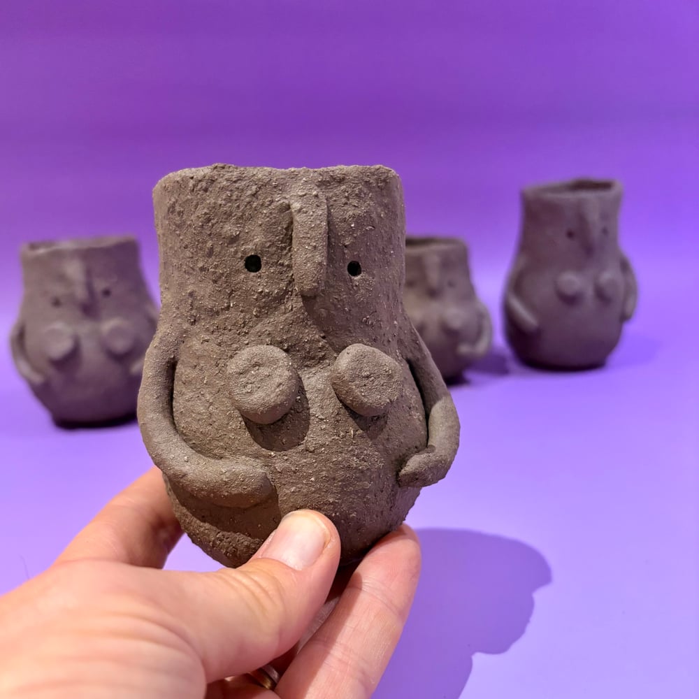 Image of Bosom Buddy pots