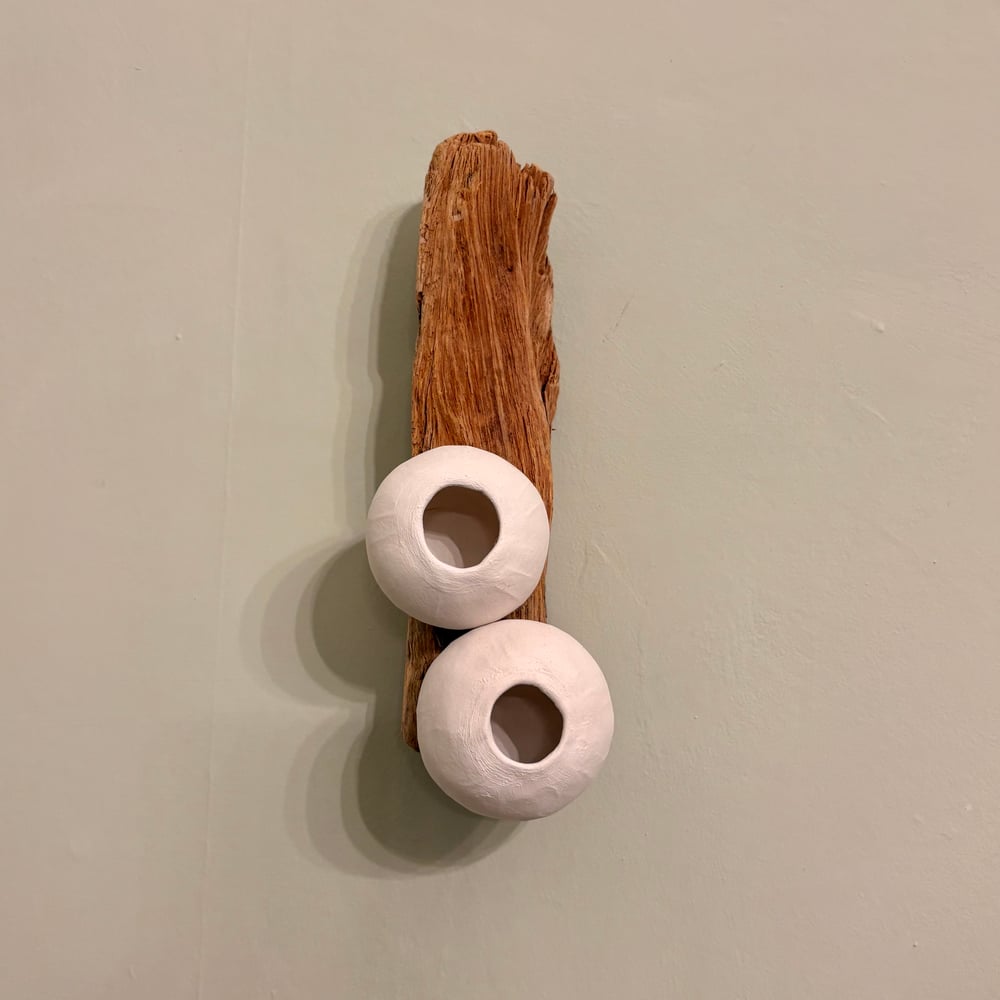 Image of Natures Driftwood