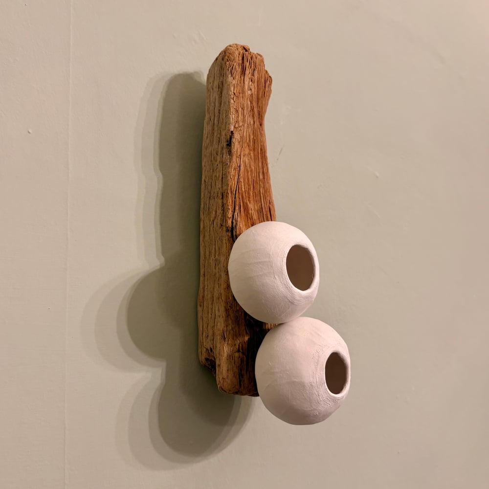 Image of Natures Driftwood