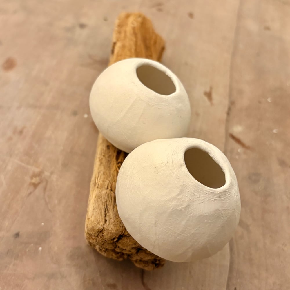 Image of Natures Driftwood