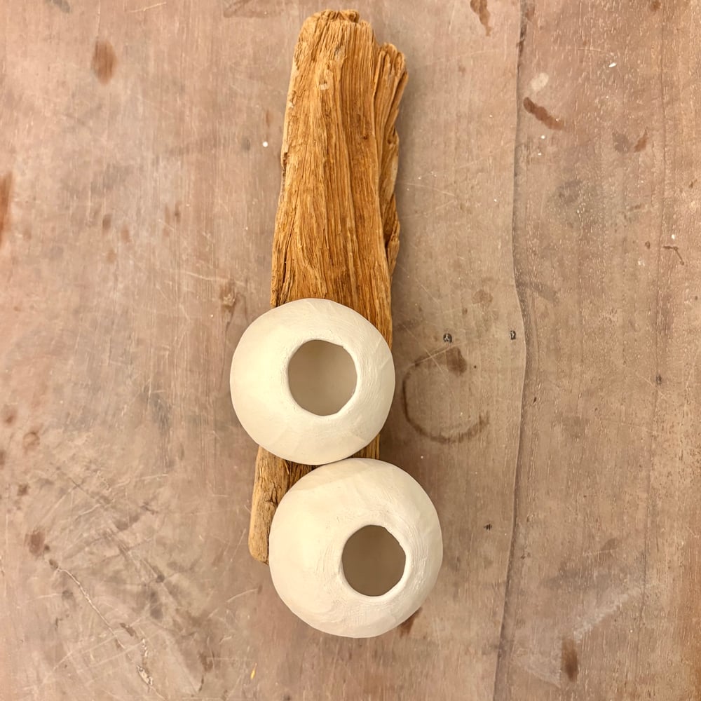 Image of Natures Driftwood