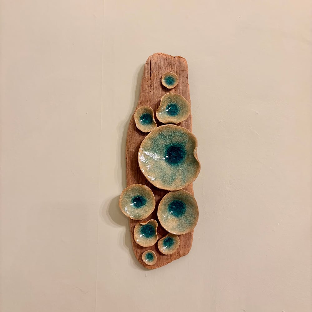 Image of Lily pad Driftwood