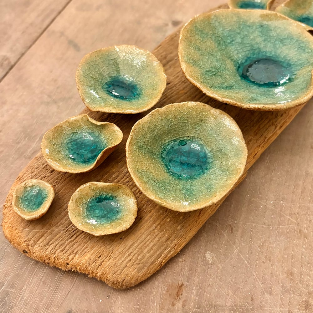 Image of Lily pad Driftwood