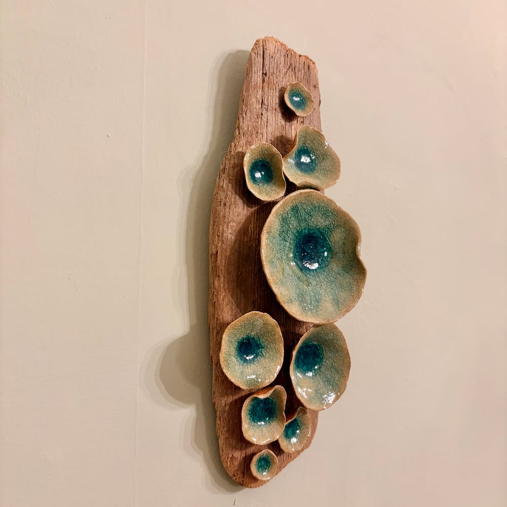 Image of Lily pad Driftwood
