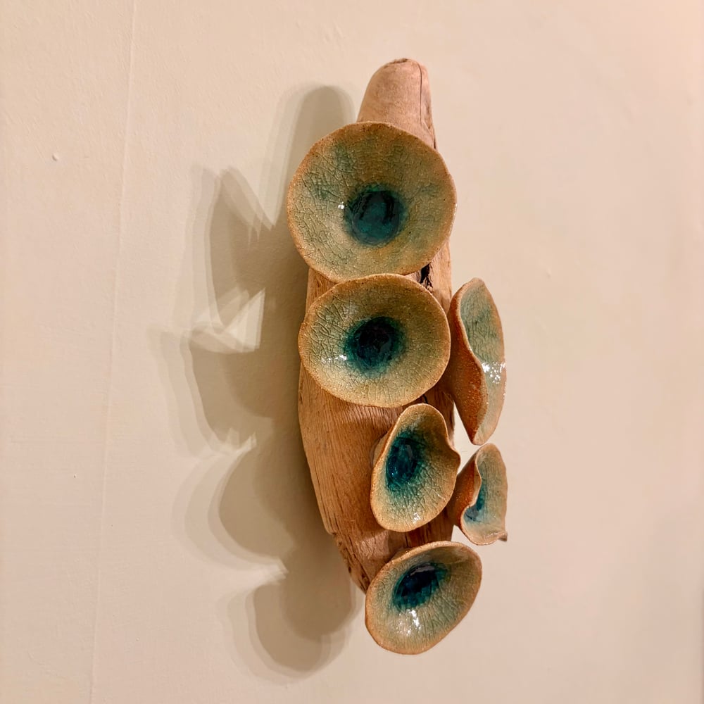 Image of Winter Lily Driftwood