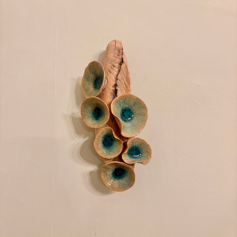 Image of Winter Lily Driftwood