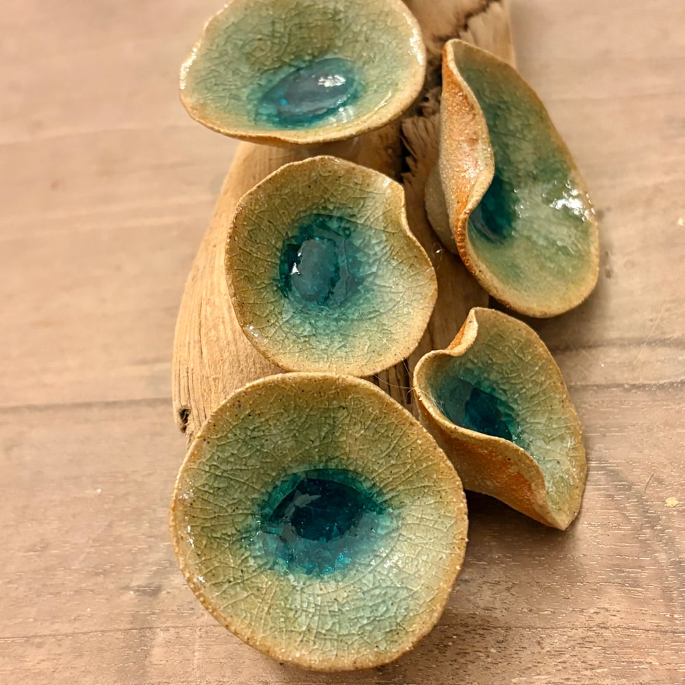 Image of Winter Lily Driftwood