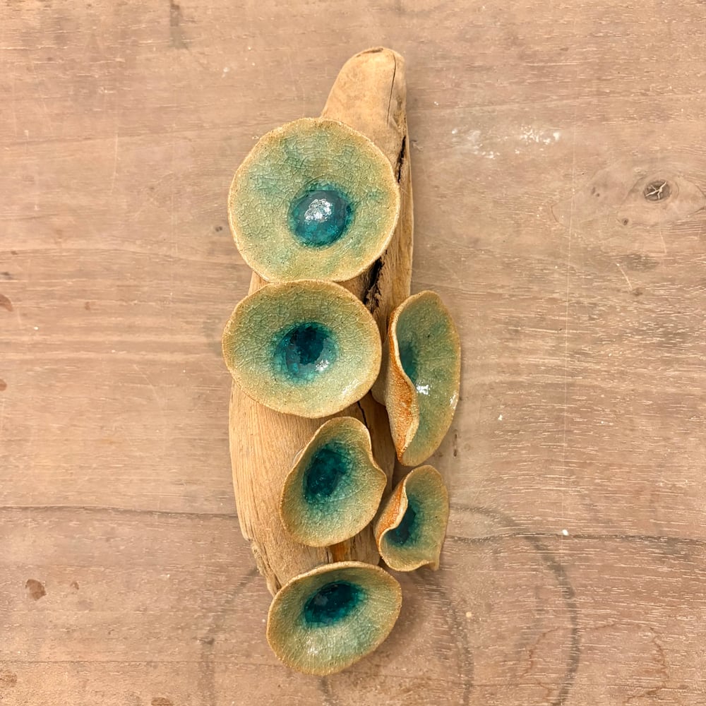 Image of Winter Lily Driftwood