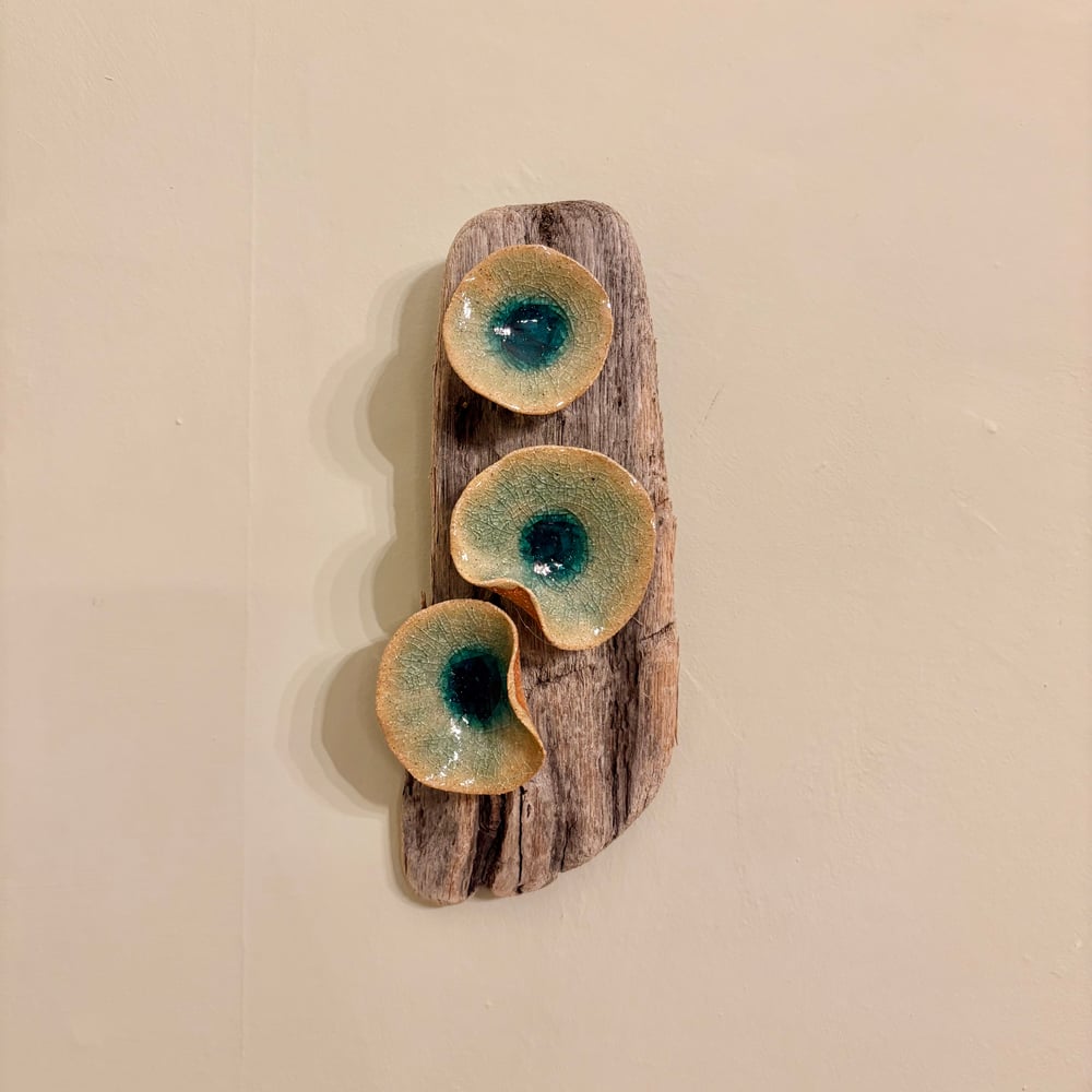 Image of Frozen Lily Driftwood