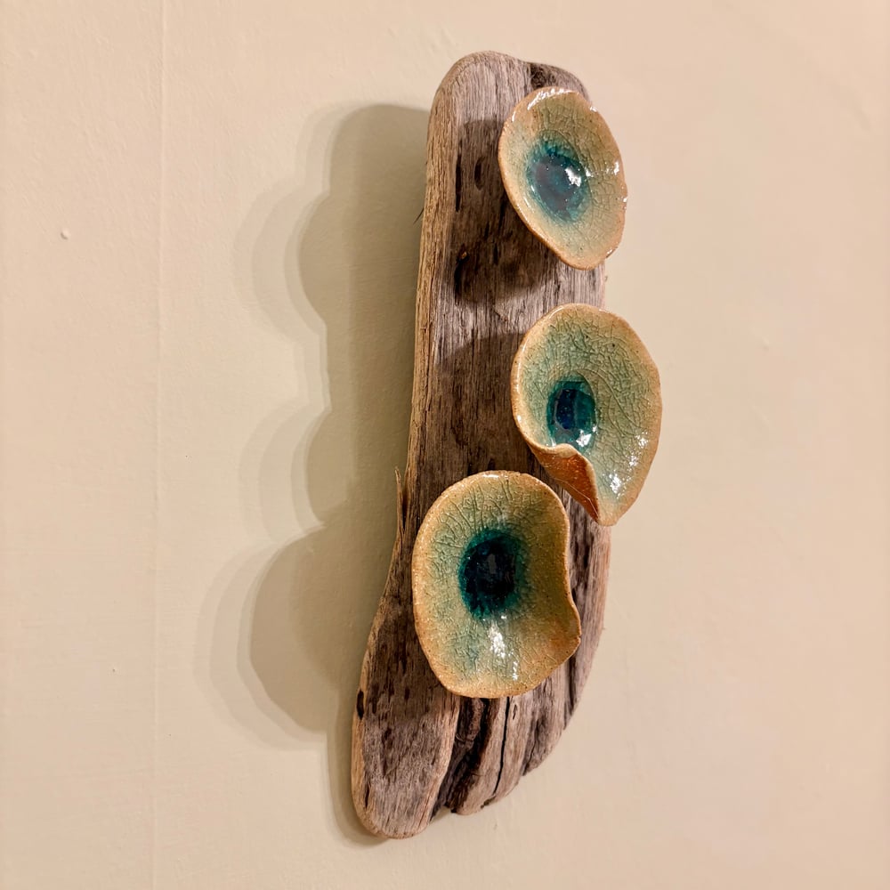 Image of Frozen Lily Driftwood